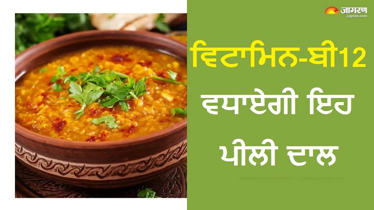 ਵਿਟਾਮਿਨ-ਬੀ12 ਦੀ ਘਾਟ ਦੂਰ ਕਰਨ ਵਿਚ ਮਦਦ ਕਰੇਗੀ ਇਹ ਪੀਲੀ ਦਾਲ, ਅੱਜ ਤੋਂ ਹੀ ਕਰ ਲਓ ਡਾਈਟ 'ਚ ਸ਼ਾਮਲ