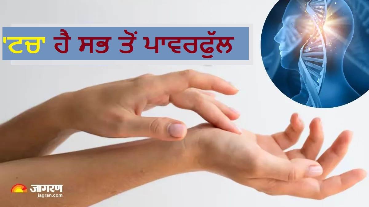 ਦੇਖਣ-ਸੁਣਨ ਨਾਲ ਨਹੀਂ, ਛੂਹਣ ਨਾਲ ਹੁੰਦੀ ਹੈ ਸਰੀਰ 'ਚ ਸਭ ਤੋਂ ਵੱਡੀ ਹਲਚਲ,; ਅਧਿਐਨ ਤੋਂ ਹੋਇਆ ਖੁਲਾਸਾ