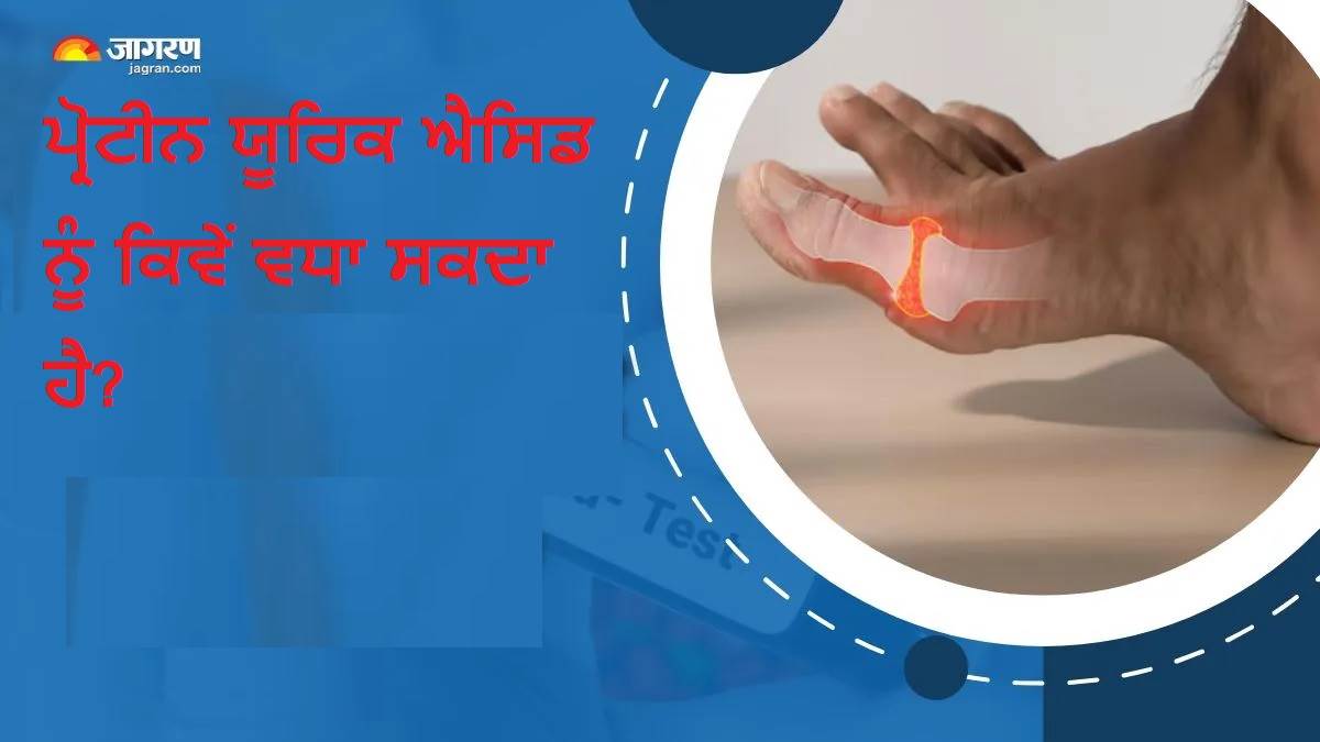 ਕੀ ਬਹੁਤ ਜ਼ਿਆਦਾ ਪ੍ਰੋਟੀਨ ਖਾਣ ਨਾਲ ਵਧ ਸਕਦਾ ਹੈ ਯੂਰਿਕ ਐਸਿਡ? ਇਹਨਾਂ 5 ਲੱਛਣਾਂ ਦੁਆਰਾ ਕਰੋ ਪਛਾਣ