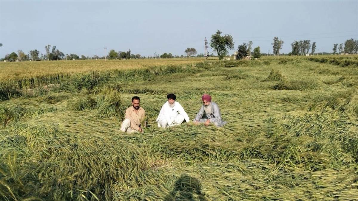 ਖ਼ਰਾਬ ਮੌਸਮ ਨੇ ਕਿਸਾਨਾਂ ਦੀਆਂ ਆਸਾਂ ’ਤੇ ਫੇਰਿਆ ਪਾਣੀ