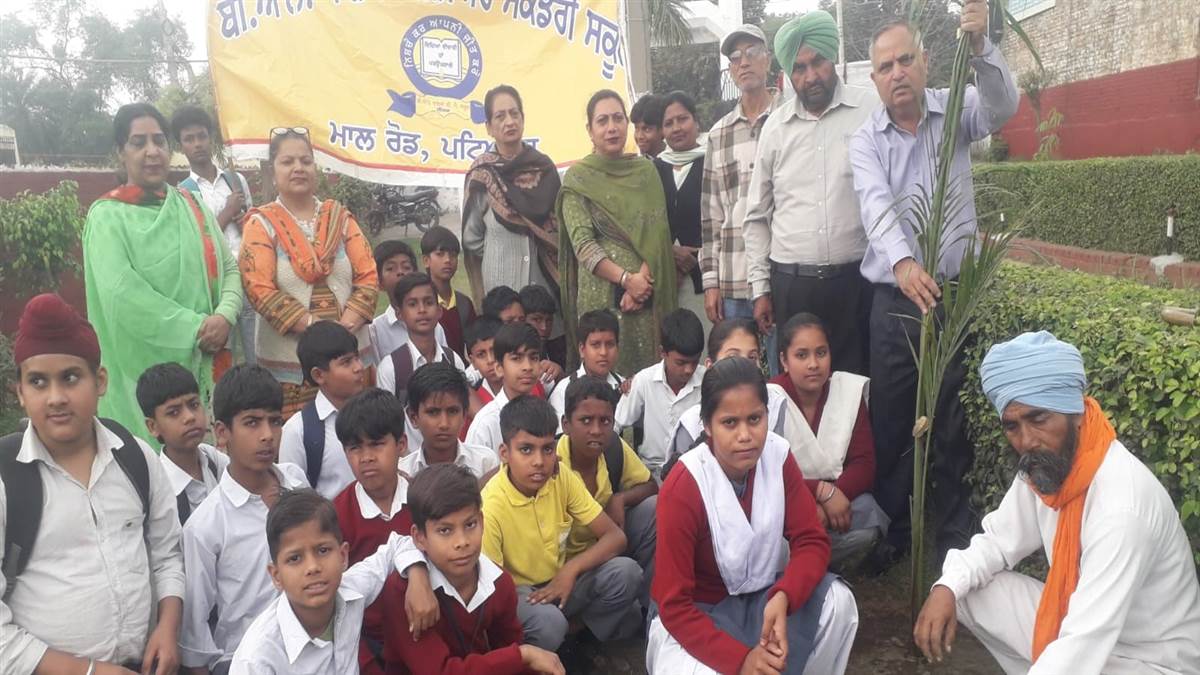 ਜਨਮ ਦਿਨ ਮੌਕੇ ਬਸੰਤ ਰਿਤੂ ਕਲੱਬ ਨੇ ਲਗਾਏ ਬੂਟੇ