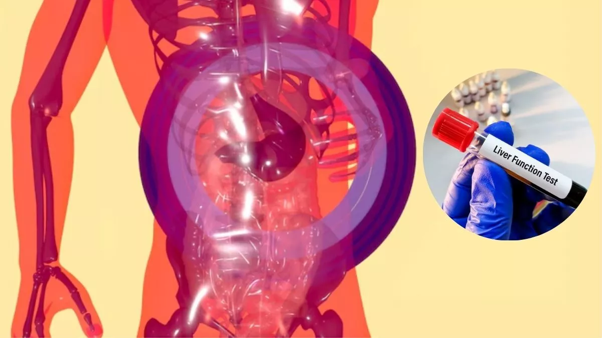 World Liver Day 2025: ਇਹਨਾਂ ਮਹੱਤਵਪੂਰਨ ਟੈਸਟਾਂ ਨਾਲ ਆਪਣੇ ਜਿਗਰ ਦੀ ਕਰੋ ਰੱਖਿਆ, ਸਮੇਂ ਸਿਰ ਕਰੋ ਖ਼ਤਰੇ ਦੀ ਪਛਾਣ