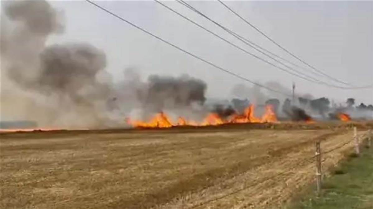 ਸ਼ਾਰਟ ਸਰਕਟ ਕਾਰਨ ਫਸਲ ਨੂੰ ਅੱਗ ਲੱਗੀ