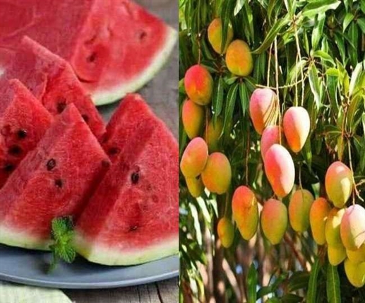 Heat Stroke  Eat watermelon  melon  peach and mango in summer seasonal juicy fruits boost the bodys immune system
