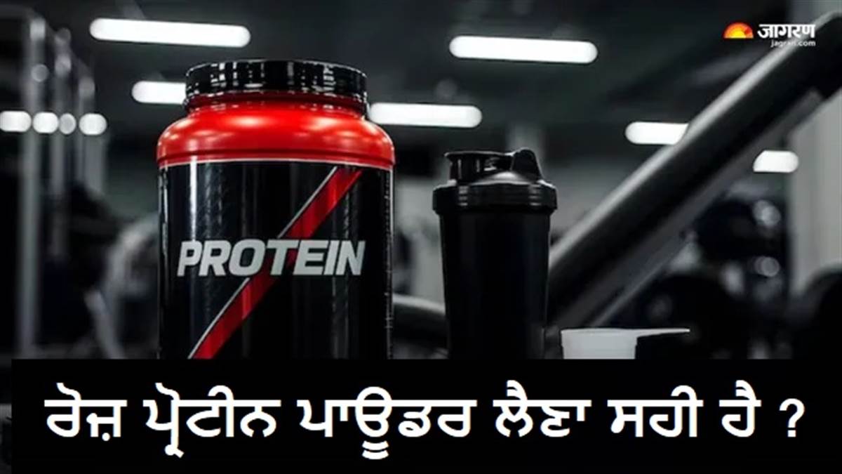 ਕੀ ਰੋਜ਼ਾਨਾ ਪ੍ਰੋਟੀਨ ਪਾਊਡਰ ਲੈਣਾ ਸੁਰੱਖਿਅਤ ਹੈ? ਸਮਝੋ ਕਦੋਂ ਪਹੁੰਚਾ ਸਕਦਾ ਹੈ ਸਿਹਤ ਨੂੰ ਨੁਕਸਾਨ