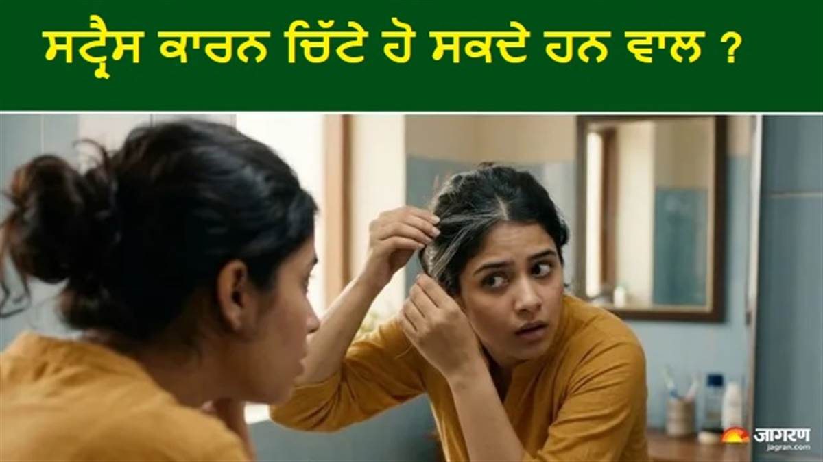 ਕੀ ਸੱਚਮੁੱਚ ਟੈਂਸ਼ਨ ਲੈਣ ਨਾਲ ਚਿੱਟੇ ਹੁੰਦੇ ਨੇ ਵਾਲ? ਉਮਰ ਤੋਂ ਪਹਿਲਾਂ ਵਾਲਾਂ ਨੂੰ ਚਿੱਟਾ ਹੋਣੋਂ ਰੋਕਣ ਲਈ ਕਰੋ ਇਹ ਕੰਮ