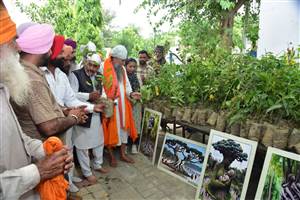 ਪਿੰਡ ਭਮਾਰਸੀ ਜੇਰ ’ਚ ਵੰਡੇ 5000 ਬੂਟੇ, ਵਾਤਾਵਰਣ ਸੰਭਾਲ ਦਾ ਦਿੱਤਾ ਸੁਨੇਹਾ
