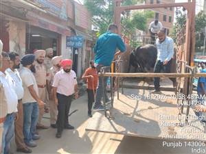 ਹਾਈਕੋਰਟ ਦੇ ਹੁਕਮਾਂ ’ਤੇ ਛੇ ਡੇਅਰੀਆਂ ਖਾਲੀ ਕਰਵਾਈਆਂ