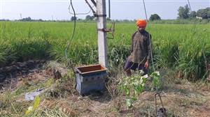 ਤਿੰਨ ਤੋਲੇ ਸੋਨਾ ਤੇ 20 ਹਜ਼ਾਰ ਰੁਪਏ ਦੀ ਨਕਦੀ ਚੋਰੀ