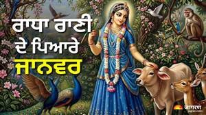 ਰਾਧਾ ਅਸ਼ਟਮੀ 2026: ਗਊਆਂ ਤੋਂ ਇਲਾਵਾ ਇਨ੍ਹਾਂ ਪਾਲਤੂ ਜਾਨਵਰਾਂ ਨਾਲ ਸੀ ਰਾਧਾ ਰਾਣੀ ਦਾ ਖ਼ਾਸ ਲਗਾਅ, ਪੜ੍ਹੋ ਪੂਰੀ ਕਥਾ