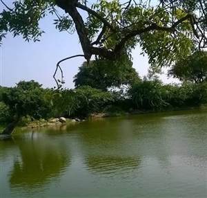 ਕਿਤੇ ਵਗਣ ਹਵਾਵਾਂ ਛੂਕਦੀਆਂ...