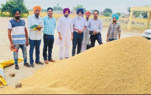 ਤੋਲਾਵਾਲ ਤੇ ਸਤੌਜ ਵਿਖੇ ਝੋਨੇ ਦੀ ਖ਼ਰੀਦ ਸ਼ੁਰੂ ਕਰਵਾਈ