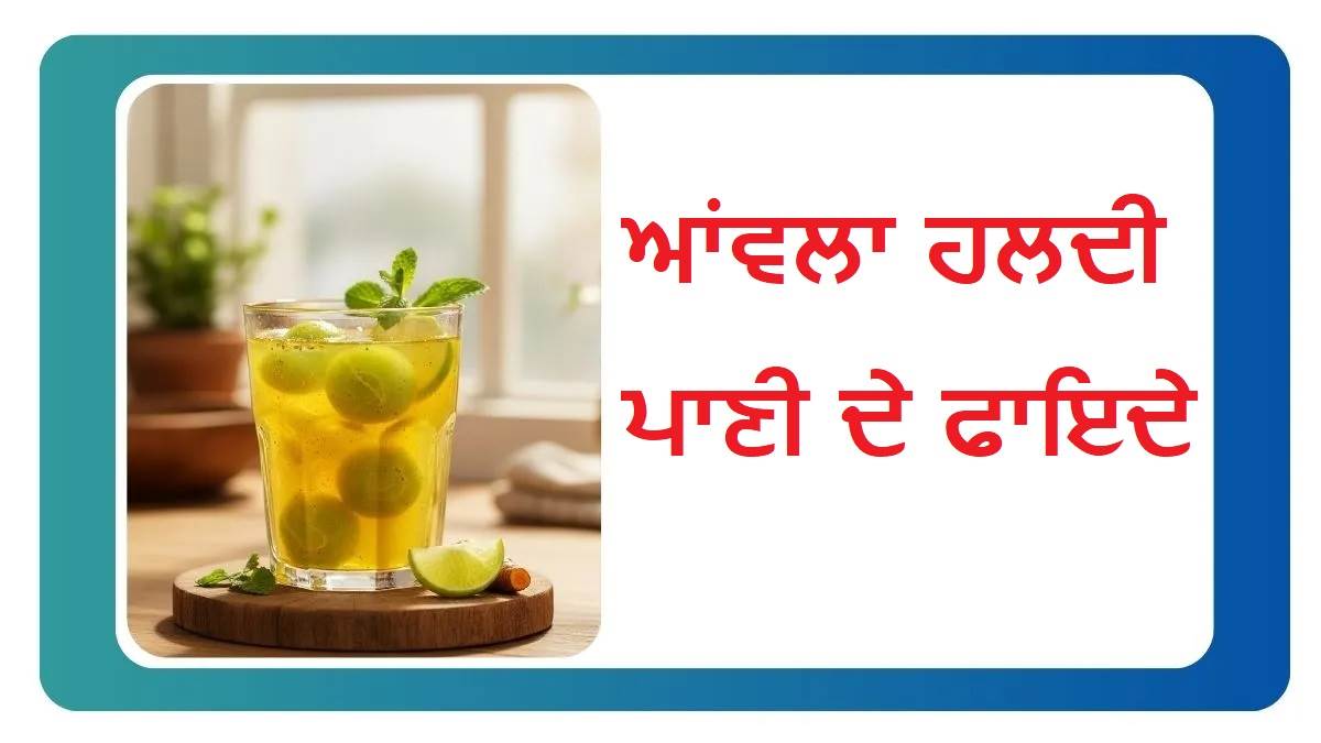 ਖਾਲੀ ਪੇਟ ਪੀਓ ਹਲਦੀ-ਆਂਵਲਾ ਦਾ ਪਾਣੀ ! Weight Loss ਦੇ ਨਾਲ ਮਿਲੇਗਾ ਜੋੜਾਂ ਦੇ ਦਰਦ ਤੋਂ ਵੀ ਆਰਾਮ