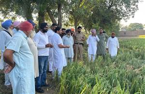 ਗੜੇਮਾਰੀ ਪੀੜਤ ਕਿਸਾਨਾਂ ਨੂੰ ਮਿਲੇਗਾ ਮੁਆਵਜ਼ਾ:  ਬਲਕਾਰ ਸਿੱਧੂ