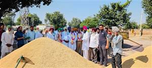 ਬੂਟਾ ਜਲਾਲ ਨੇ ਝੋਨੇ ਦੀ ਖ਼ਰੀਦ ਸੁਰੂ ਕਰਵਾਈ