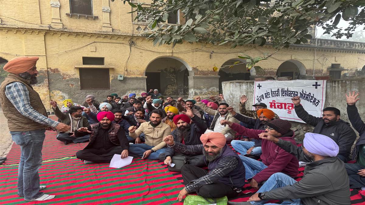 ਵੈਟਰਨਰੀ ਇੰਸਪੈਕਟਰਾਂ ਨੇ ਡਿਪਟੀ ਡਾਇਰੈਕਟਰ ਦੇ ਦਫ਼ਤਰ ਅੱਗੇ ਲਾਇਆ ਧਰਨਾ