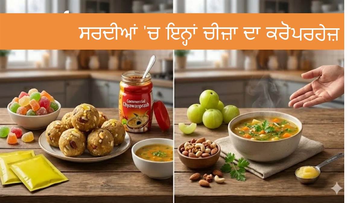 ਸਰਦੀਆਂ 'ਚ ਸਿਹਤਮੰਦ ਰਹਿਣ ਲਈ ਐਕਸਪਰਟ ਨੇ ਦੱਸਿਆ ਕੀ ਨਾ ਖਾਓ; ਚਵਨਪ੍ਰਾਸ਼ ਤੇ ਆਂਵਲਾ ਕੈਂਡੀ ਵੀ ਹਨ ਸ਼ਾਮਲ