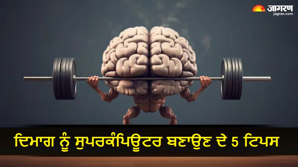 30 ਦੀ ਉਮਰ ਤੋਂ ਬਾਅਦ ਯਾਦਦਾਸ਼ਤ ਹੋ ਰਹੀ ਹੈ ਕਮਜ਼ੋਰ ? ਤੁਰੰਤ ਸ਼ੁਰੂ ਕਰੋ ਇਹ 5 ਐਕਟੀਵਿਟੀਜ਼, ਨਹੀਂ ਤਾਂ ਬੁਢਾਪੇ 'ਚ ਹੋਵੇਗੀ ਮੁਸ਼ਕਲ