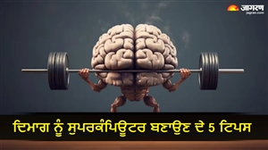 30 ਦੀ ਉਮਰ ਤੋਂ ਬਾਅਦ ਯਾਦਦਾਸ਼ਤ ਹੋ ਰਹੀ ਹੈ ਕਮਜ਼ੋਰ ? ਤੁਰੰਤ ਸ਼ੁਰੂ ਕਰੋ ਇਹ 5 ਐਕਟੀਵਿਟੀਜ਼, ਨਹੀਂ ਤਾਂ ਬੁਢਾਪੇ 'ਚ ਹੋਵੇਗੀ ਮੁਸ਼ਕਲ