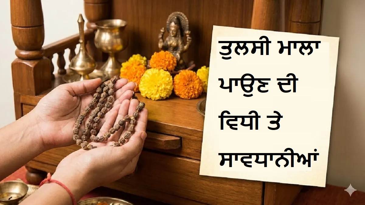 Tulsi Mala Rules : ਸਾਵਧਾਨ ! ਕੀ ਤੁਸੀਂ ਵੀ ਤੁਲਸੀ ਦੀ ਮਾਲਾ ਪਹਿਨ ਕੇ ਕਰਦੇ ਹੋ ਇਹ ਕੰਮ? ਅੱਜ ਹੀ ਬਦਲ ਲਓ ਆਪਣੀਆਂ ਇਹ ਆਦਤਾਂ