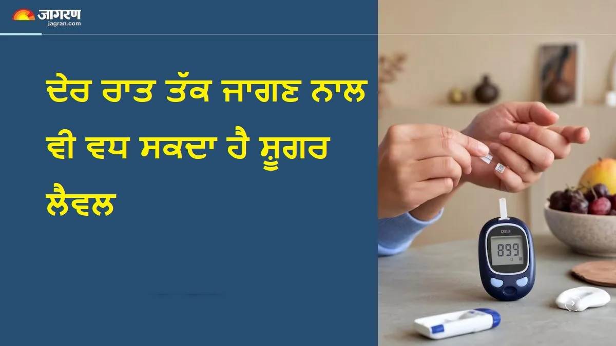 ਅੱਧੀ ਰਾਤ ਤਕ ਜਾਗਣ ਵਾਲਿਆਂ ਲਈ ਖ਼ਤਰੇ ਦੀ ਘੰਟੀ, ਫੋਨ ਦੀ 'ਨੀਲੀ ਰੌਸ਼ਨੀ' ਖ਼ੂਨ 'ਚ ਘੋਲ ਰਹੀ ਹੈ ਜ਼ਹਿਰ, ਹੁਣੇ ਸੰਭਲ ਜਾਓ ਵਰਨਾ...