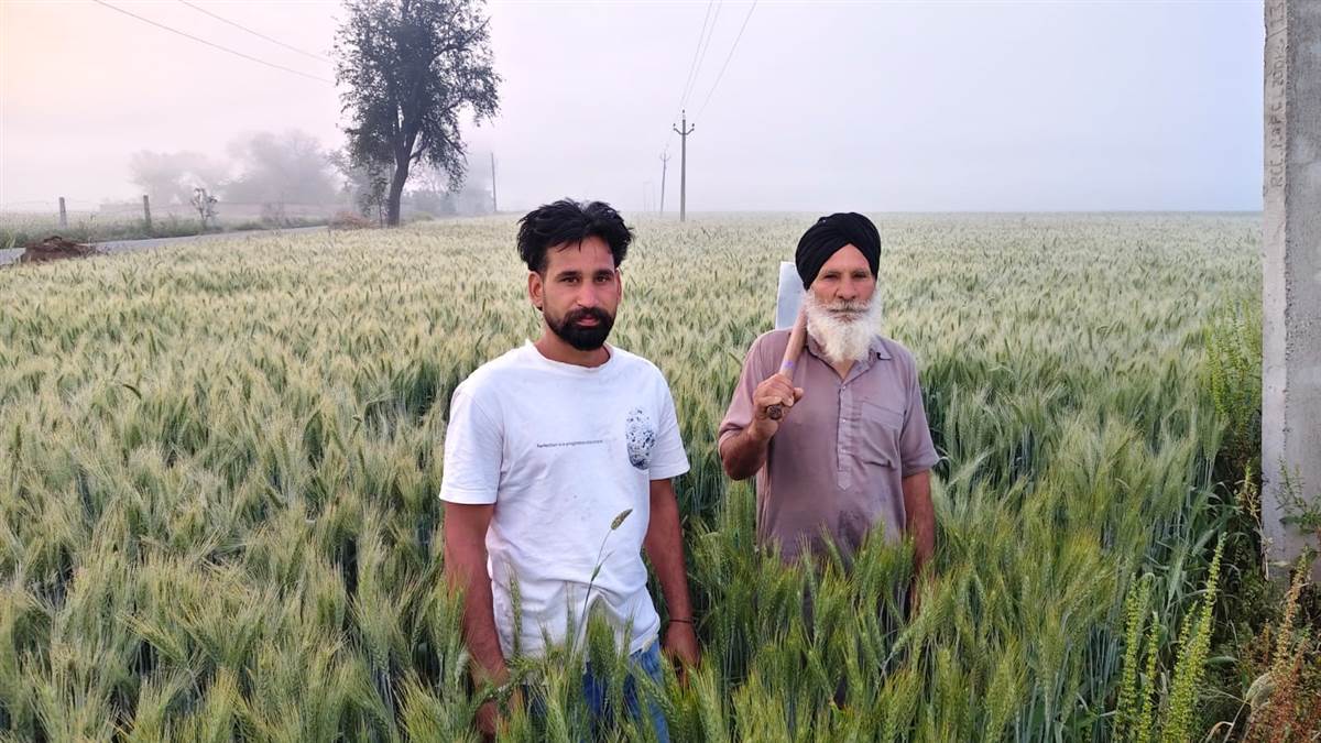 ਰੁਕ-ਰੁਕ ਹੋ ਰਹੀ ਬਾਰਿਸ਼ ਨੇ ਕਿਸਾਨਾਂ ਦੇ ਸਾਹ ਸੂਤੇ