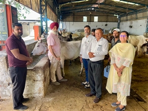 ਕਿਸਾਨਾਂ ਲਈ ਜ਼ਰੂਰੀ ਖ਼ਬਰ: ਪਸ਼ੂਆਂ ਨੂੰ ਮੂੰਹਖੁਰ ਤੋਂ ਬਚਾਉਣ ਲਈ ਵਿੱਢੀ ਮੁਹਿੰਮ, 100 ਫੀਸਦੀ ਟੀਕਾਕਰਨ ਯਕੀਨੀ ਬਣਾਉਣ ਦੀ ਅਪੀਲ