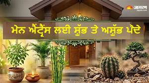 ਕਿਹੜੇ ਪੌਦੇ ਖੋਲ੍ਹਣਗੇ ਕਿਸਮਤ ਦੇ ਤਾਲੇ ਅਤੇ ਕਿਹੜੇ ਲਿਆਉਣਗੇ ਕੰਗਾਲੀ? ਜਾਣੋ ਮੁੱਖ ਦੁਆਰ ਦੇ ਵਾਸਤੂ ਨਿਯਮ