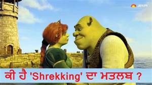 ਕੀ ਹੈ ਡੇਟਿੰਗ ਦਾ ਅਜੀਬ ਟ੍ਰੈਂਡ Shrekking? ਮਤਲਬ ਜਾਣ ਕੇ ਤੁਸੀਂ ਵੀ ਕਹੋਗੇ- ਪਿਆਰ ਹੈ ਜਾਂ ਚਲਾਕੀ !