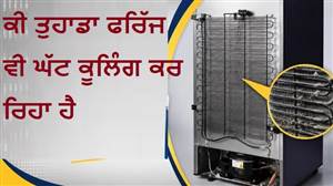ਸਿੰਗਲ ਡੋਰ ਫਰਿੱਜ ਵਰਤਣ ਵਾਲੇ ਰੱਖਣ ਖਾਸ ਧਿਆਨ: ਜਾਣੋ ਪਿੱਛੇ ਲੱਗੀ ਜਾਲੀ ਨੂੰ ਸਾਫ਼ ਕਰਨ ਦਾ ਸਹੀ ਤਰੀਕਾ ਤੇ ਫਾਇਦੇ