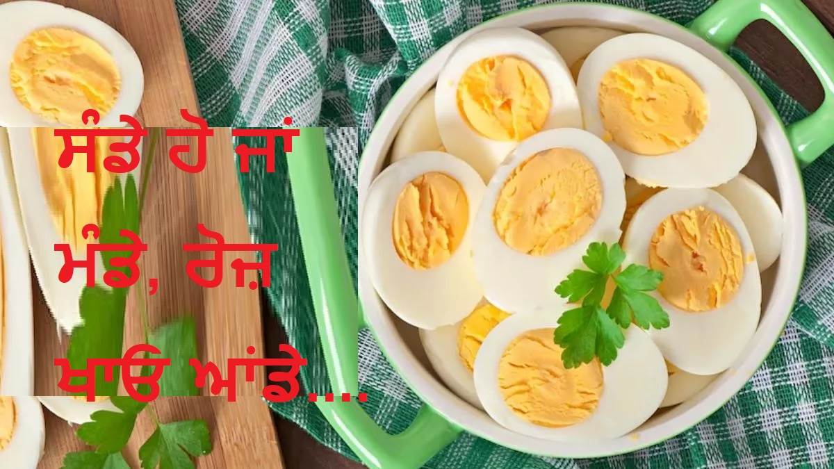 Benefits of Boiled Egg ਤੁਸੀਂ ਵੀ ਉਬਲੇ ਆਂਡਿਆਂ ਤੋਂ ਕਰਦੇ ਹੋ ਦਿਨ ਦੀ