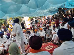 ਬਟਾਲਾ ਨੂੰ ਪੂਰੀ ਤਰ੍ਹਾਂ ਨਸ਼ਾ ਮੁਕਤ ਕਰਾਂਗੇ : ਬਲਵਿੰਦਰ ਕੌਰ