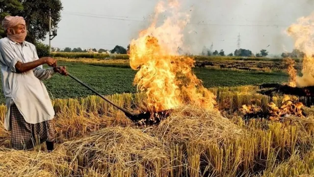 ਪਰਾਲੀ ਸਾੜੀ ਤਾਂ ਹੁਣ ਖੈਰ ਨਹੀਂ: ਲੱਗੇਗਾ ਹਜ਼ਾਰਾਂ 'ਚ ਜੁਰਮਾਨਾ, 15 ਮਹੀਨਿਆਂ ਲਈ ‘ਰੈੱਡ ਕੈਟੇਗਰੀ’ ’ਚ ਖੇਤ; ਸਰਕਾਰ ਨੇ ਜਾਰੀ ਕੀਤਾ ਨਵਾਂ ਪ੍ਰਸਤਾਵ