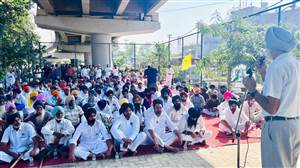 ਝੋਟਾ ਨੂੰ ਇਨਸਾਫ਼ ਦਿਵਾਉਣ ਲਈ ਵੱਖ-ਵੱਖ ਜਥੇਬੰਦੀਆਂ ਵੱਲੋਂ ਕਚਹਿਰੀ ਚੌਕ ਵਿੱਚ ਧਰਨਾ