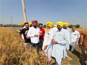 ਗੜੇਮਾਰੀ ਪੀੜਤ ਕਿਸਾਨਾਂ ਨੂੰ ਜਲਦ ਮਿਲੇਗਾ ਮੁਆਵਜ਼ਾ: ਚੇਅਰਮੈਨ ਜੀਦਾ