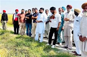 ਫ਼ਸਲਾਂ ਦੇ ਨੁਕਸਾਨ ਦਾ ਜਾਇਜ਼ਾ ਲੈਣ ਖੇਤਾਂ ’ਚ ਪੁੱਜੇ ਵਿਧਾਇਕ ਅਮੋਲਕ ਸਿੰਘ