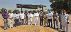 ਪੱਤੋ ਹੀਰਾ ਸਿੰਘ ਦੀ ਅਨਾਜ ਮੰਡੀ ’ਚ ਝੋਨੇ ਦੀ ਖਰੀਦ ਸ਼ੁਰੂ ਕਰਵਾਈ