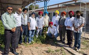ਜਸਵਿੰਦਰ ਸਿੰਘ ਰਤਨ ਨੇ ਬਜ਼ੁਰਗਾਂ ਨਾਲ ਖੁਸ਼ੀਆਂ ਸਾਂਝੀਆਂ ਕਰਕੇ ਤੇ ਬੂਟੇ ਲਾ ਕੇ ਮਨਾਇਆ ਜਨਮਦਿਨ