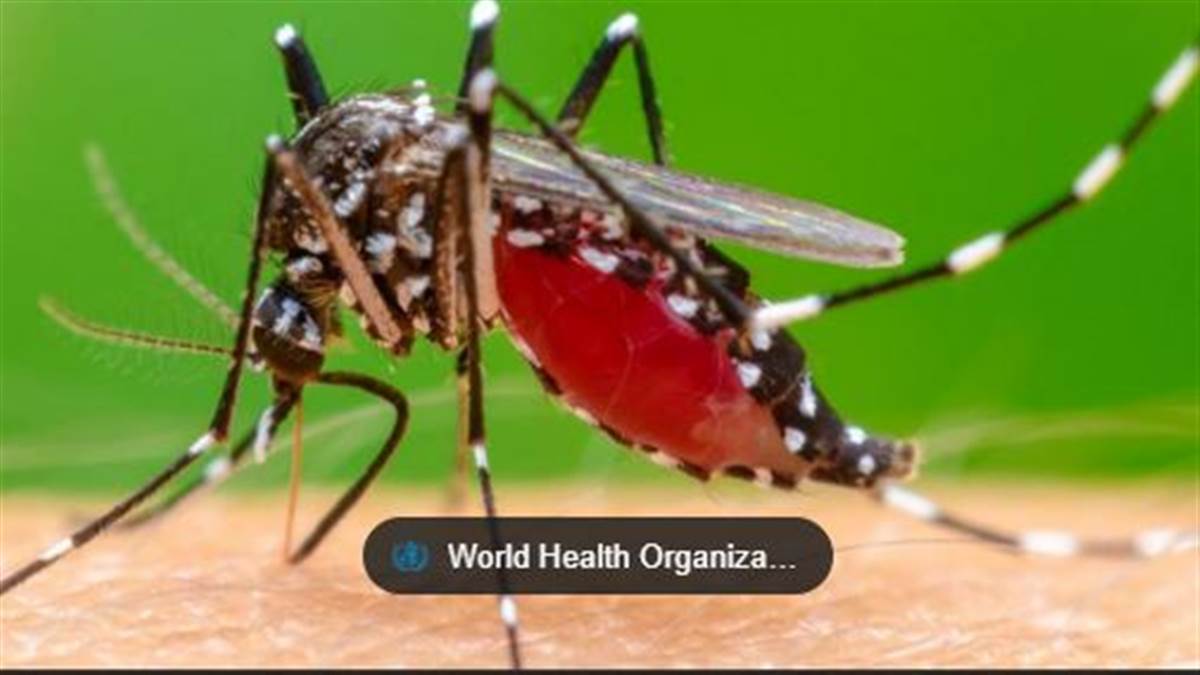 ਬੁਖਾਰ ਦੇ ਝੰਬੇ ਲੋਕ ਕਿੱਧਰ ਜਾਣ?