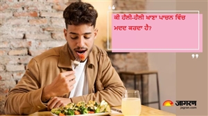 ਹੌਲੀ-ਹੌਲੀ ਖਾਣਾ ਖਾਣ ਨਾਲ ਮਿਲਦੇ ਹਨ ਸਿਹਤ ਲਾਭ, ਬਿਨਾਂ ਵਜ੍ਹਾ ਨਹੀਂ ਦਿੰਦੇ ਸਿਆਣੇ ਆਰਾਮ ਨਾਲ ਖਾਣ ਦੀ ਸਲਾਹ!