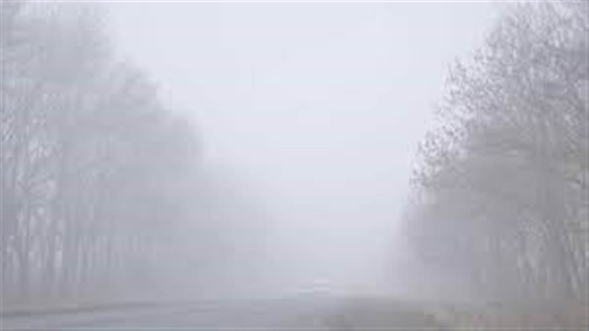 ਮਸਲਿਆਂ ਨੂੰ ਹੋਰ ਉਲਝਾ ਰਿਹਾ ਧੁੰਦ ਦਾ ਕਹਿਰ, ਧੁੰਦ 'ਚ ਸੜਕ ਹਾਦਸਿਆਂ ਤੋਂ ਬਚਾਅ ਲਈ