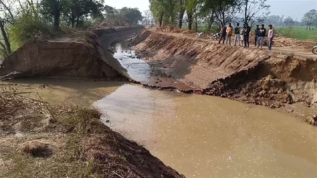 ਨਹਿਰ ’ਚ ਪਾਣੀ ਰੁਕਣ ਕਰਕੇ ਰਜਬਾਹੇ ’ਚ ਪਿਆ ਪਾੜ, 600 ਏਕੜ ਕਣਕ ਦੀ ਖੜ੍ਹੀ ਫ਼ਸਲ 'ਚ ਭਰਿਆ ਪਾਣੀ