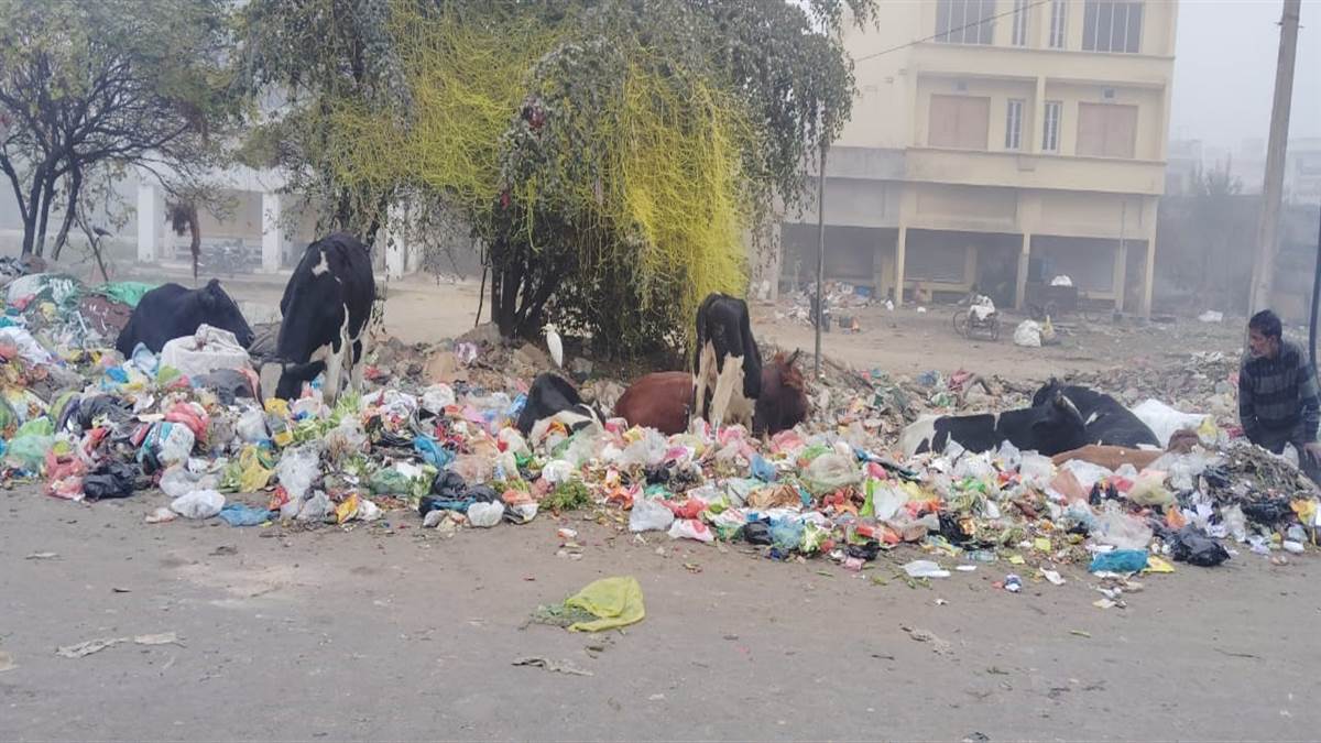 ਨਿਗਮ ਕਮਿਸ਼ਨਰ ਡਾ. ਨਯਨ ਜੱਸਲ ਨੂੰ ਯਾਦ ਕਰਨ ਲੱਗੇ ਫਗਵਾੜਾ ਵਾਸੀ