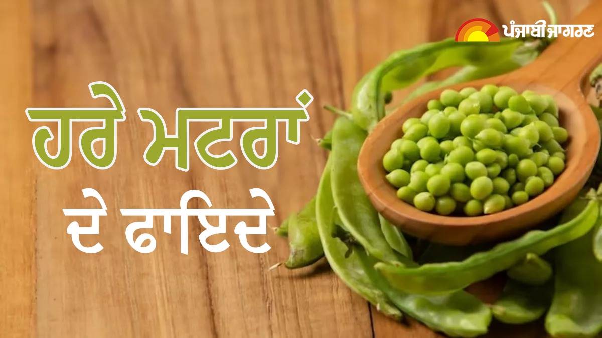 Green Pea Benefits ਪ੍ਰੋਟੀਨ ਨਾਲ ਭਰਪੂਰ ਹੁੰਦੇ ਹਨ ਹਰੇ ਮਟਰ, ਜਾਣੋ ਇਸਦੇ 5