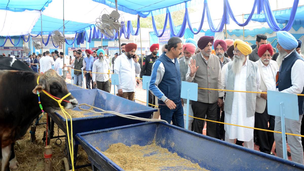 ਕੈਬਨਿਟ ਮੰਤਰੀ ਖੁੱਡੀਆਂ ਵੱਲੋਂ ਵੈਟਰਨਰੀ ਯੂਨੀਵਰਸਿਟੀ ਦੇ ਪਸ਼ੂ ਪਾਲਣ ਮੇਲੇ ਦਾ ਉਦਘਾਟਨ