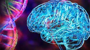 Brain Disease: ਸਰੀਰ ਦੇ ਇਨ੍ਹਾਂ 5 ਲੱਛਣਾਂ ਨੂੰ ਨਾ ਕਰੋ ਨਜ਼ਰਅੰਦਾਜ਼, ਹੋ ਸਕਦੀ ਹੈ ਦਿਮਾਗ ਦੀ ਵੱਡੀ ਬਿਮਾਰੀ