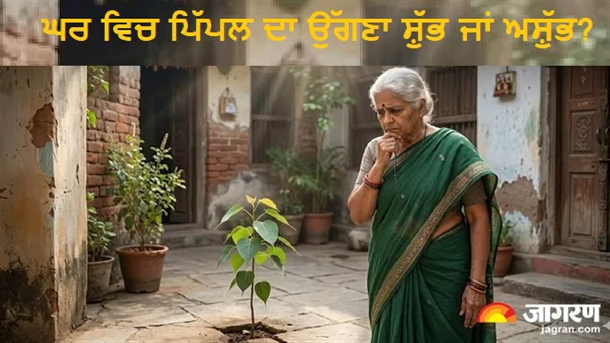 ਘਰ ਵਿਚ ਪਿੱਪਲ ਦਾ ਰੁੱਖ ਉੱਗਣ ਨਾਲ ਹੋਵੇਗਾ ਧਨ ਲਾਭ ਜਾਂ ਬਰਬਾਦੀ? ਮਿਲਦੇ ਹਨ ਇਹ ਖ਼ਾਸ ਸੰਕੇਤ