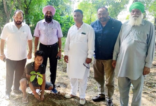 ਦਾਣਾ ਮੰਡੀ ਭੋਗਪੁਰ ਵਿਖੇ 200 ਬੂਟੇ ਲਾਏ