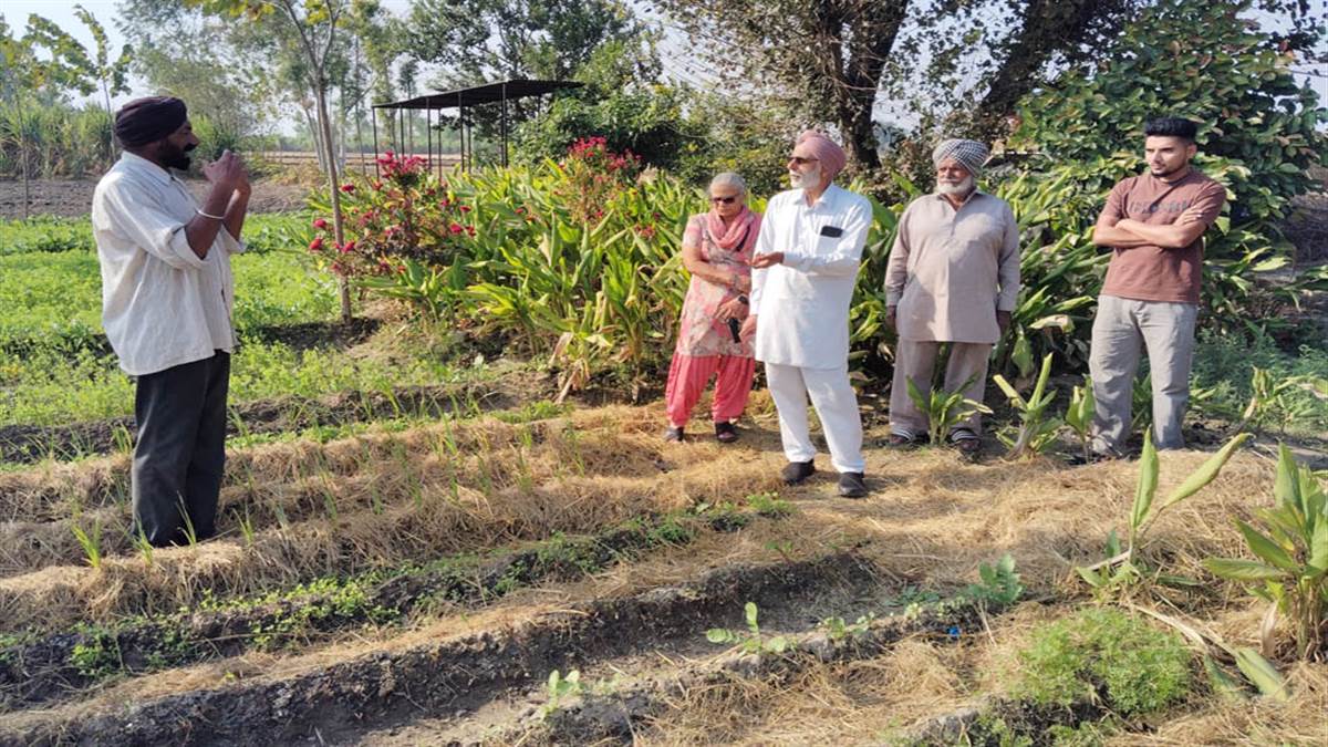ਕੁਦਰਤੀ ਖੇਤੀ ਤੇ ਹਰਬਲ ਬੂਟਿਆਂ ਦੇ ਟ੍ਰੇਨਿੰਗ ਕੈਂਪ ’ਚ ਐੱਨਆਰਆਈ ਵੱਲੋਂ ਸ਼ਿਰਕਤ