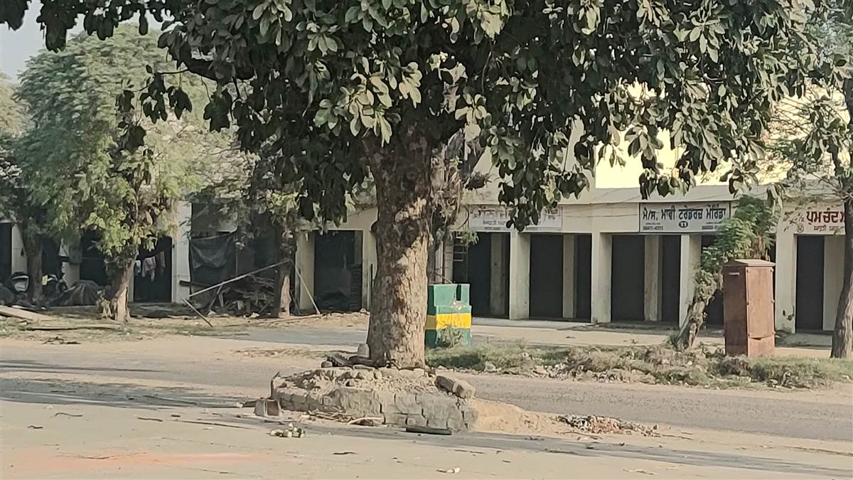 ਅਨਾਜ ਮੰਡੀ ਮੋਰਿੰਡਾ ਵਿਚ ਸਹੀ ਸਾਂਭ ਸੰਭਾਲ ਤੋਂ ਵਾਂਝੇ ਦਰੱਖਤਾਂ ਦੀ ਹੋਂਦ ਨੂੰ ਖਤਰਾ